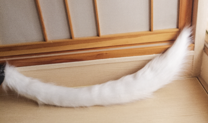 FF14 Final Fantasy ⅩⅣ Y'shtola Cosplay Cat Ears Artificial Animal Ear Cos  Prop